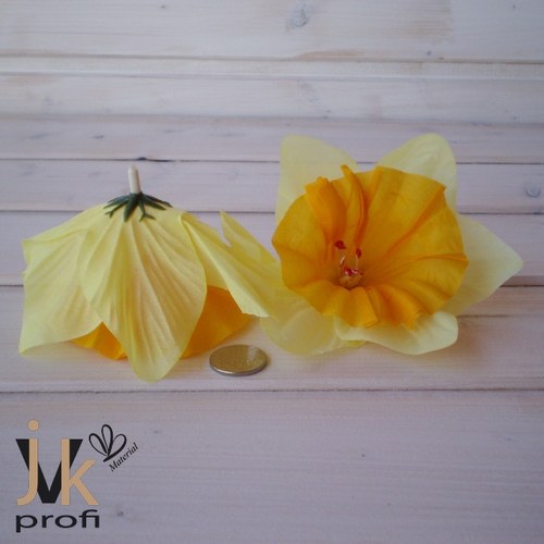 Narcis květ - velký — foto 5