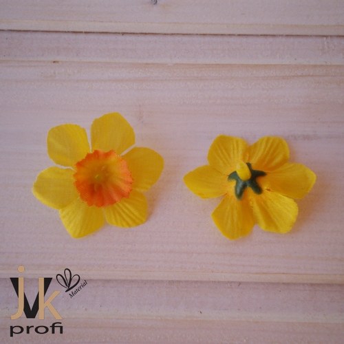 Narcis květ - malý — foto 2