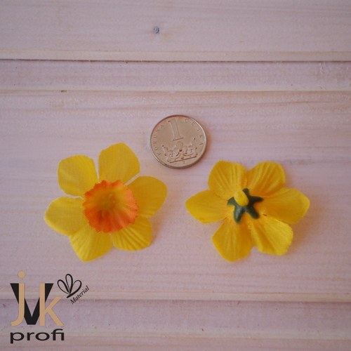 Narcis květ - malý — foto 3