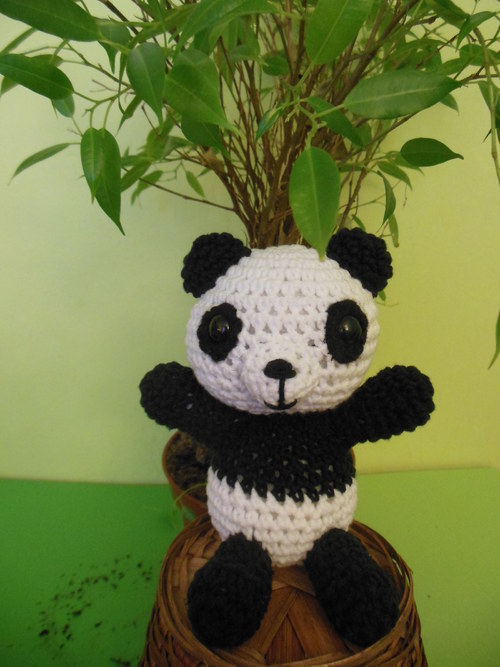 Panda — foto 3