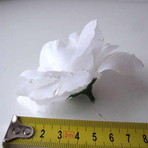 Růže s kapkami rosy - bílá — foto 3