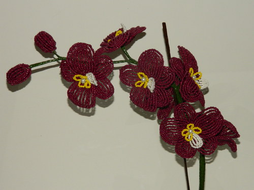 Orchideje — foto 2
