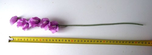 Hrachor — foto 2