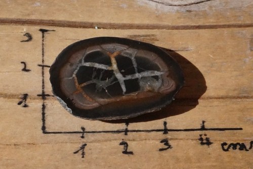Septárie - B8423 — foto 2