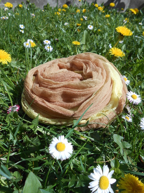 Jarní sluníčko - hnědá — foto 2