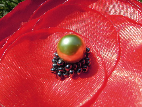 Brož - maková ... — foto 2