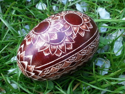Škrábané husí vajíčko — foto 2