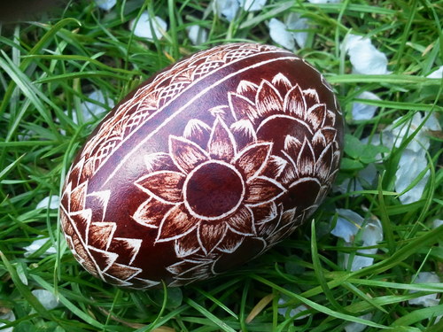 Škrábané husí vajíčko — foto 3
