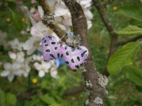 Srdce IX — foto 3