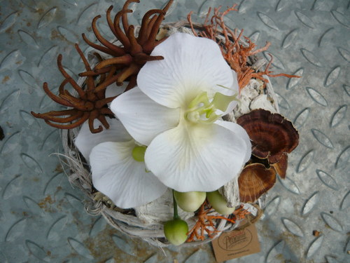 Orchidea v proutí — foto 3