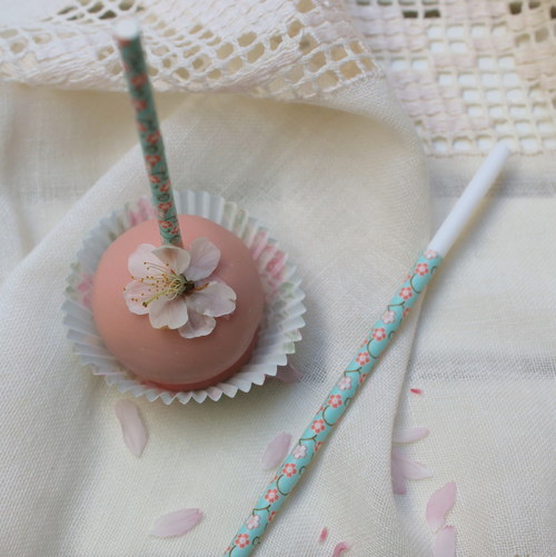 Tyčinky na CakePops — foto 2