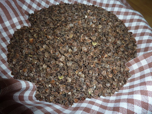 Pohankové slupky — foto 2