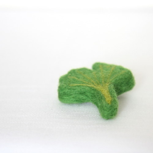 Ginkgo — foto 2