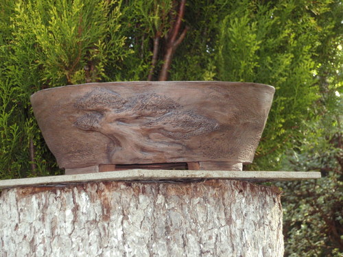 Bonsai miska tmavá kulatá — foto 3