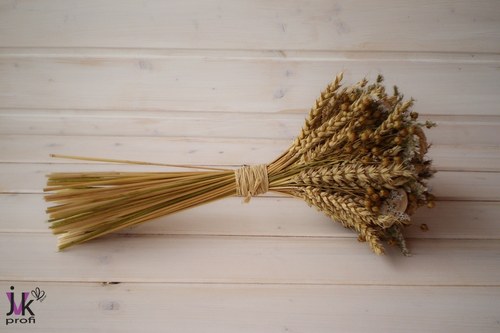 Kytička Valentina — foto 5