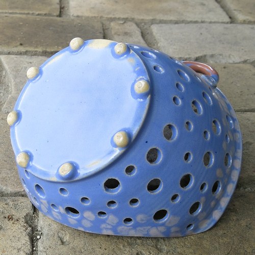 Děravka bleďáková — foto 4