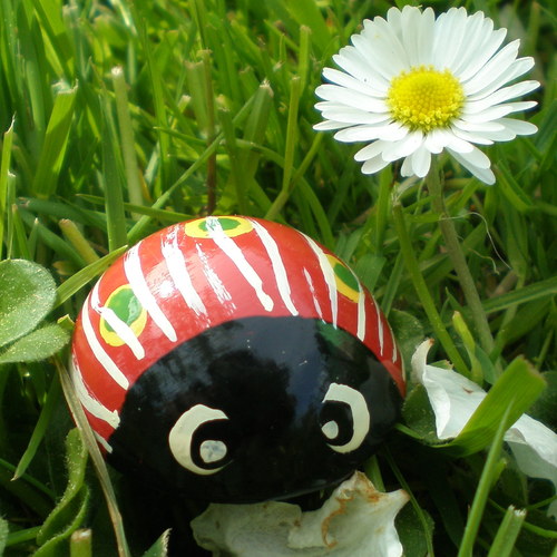 Trávožrout obecný alias Štístko — foto 2