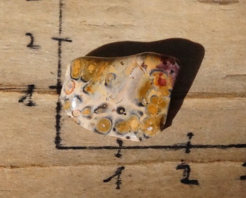 Jaspis leopardí B8567 — foto 3