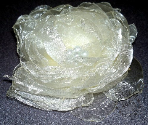 Květ Champagne — foto 6