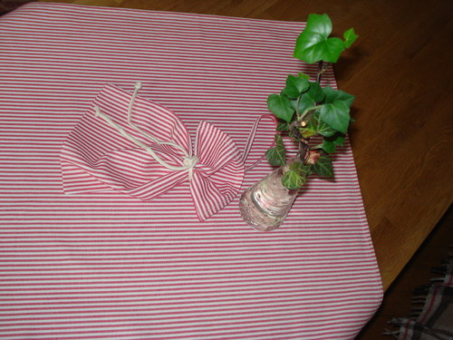 A zase pruhy ............. — foto 3