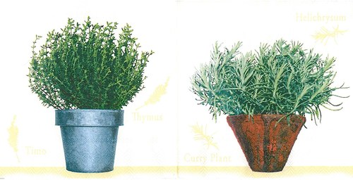 Ubrousek Bylinky — foto 2