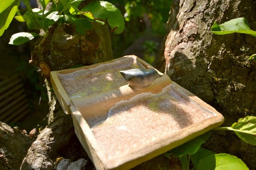 Pipínek - na řeřichu — foto 6