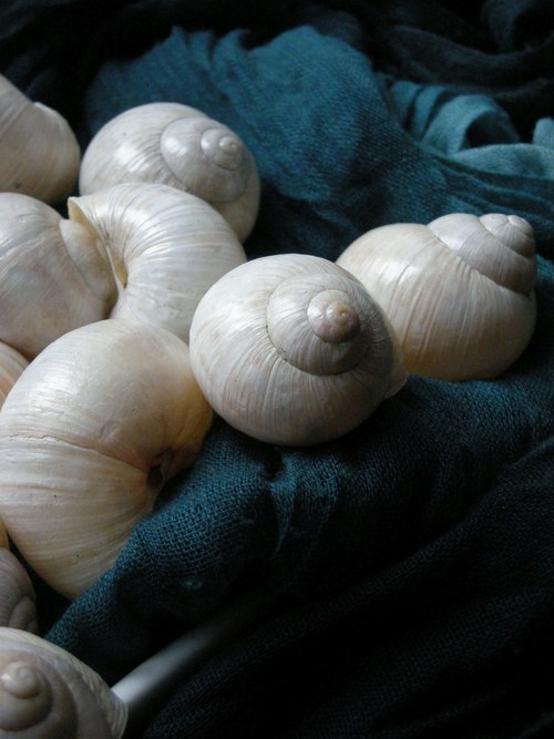 Ulity - alabastrové I. — foto 2