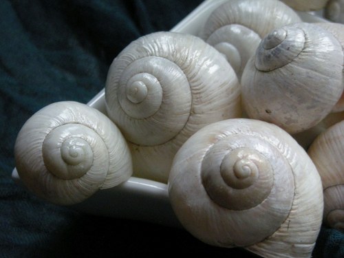 Ulity - alabastrové I. — foto 3
