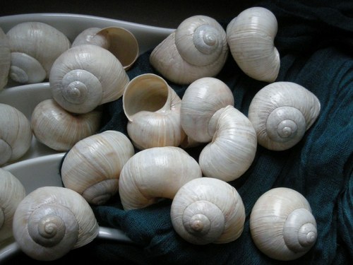 Ulity - alabastrové I. — foto 6