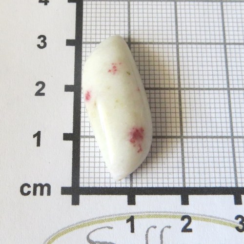 Rosalinda - Peru č.4 — foto 2