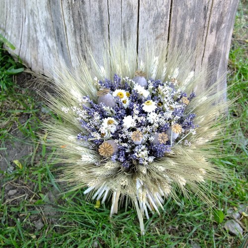 Kytička - Luční a polní — foto 5