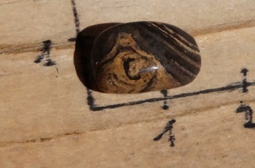 Stromatolit B8781 — foto 2