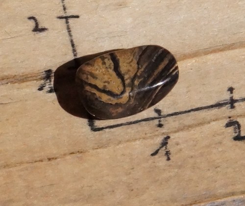 Stromatolit B8781 — foto 3