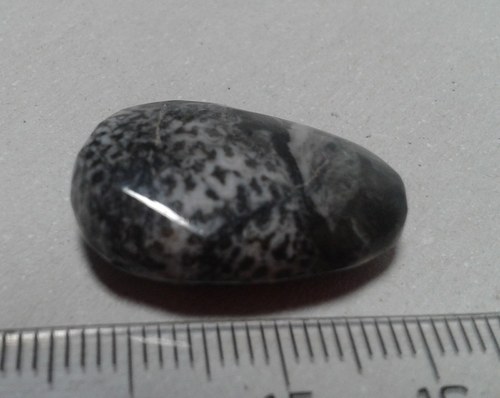 Černý korál - L-109 — foto 2
