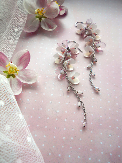 Wisteria cukrová... — foto 3