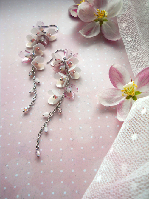 Wisteria cukrová... — foto 6