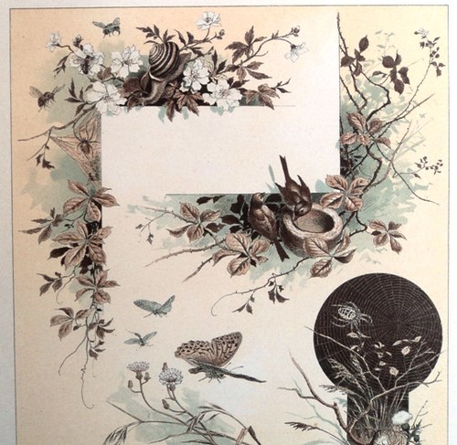 Litografie V zahradě 1890 — foto 2