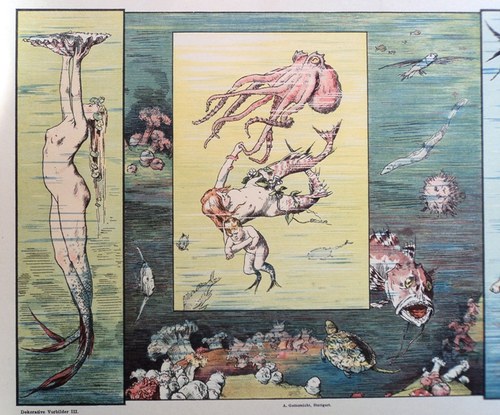Litografie vodní říše 1890 — foto 2