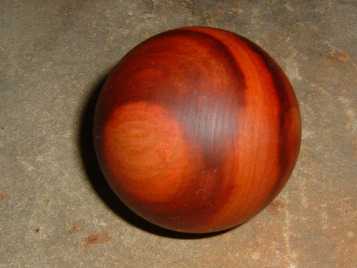 Větší duhová — foto 2