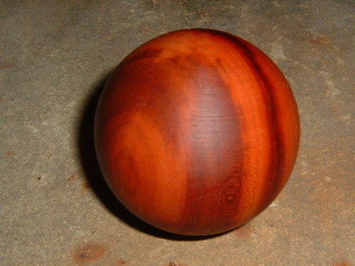 Větší duhová — foto 3