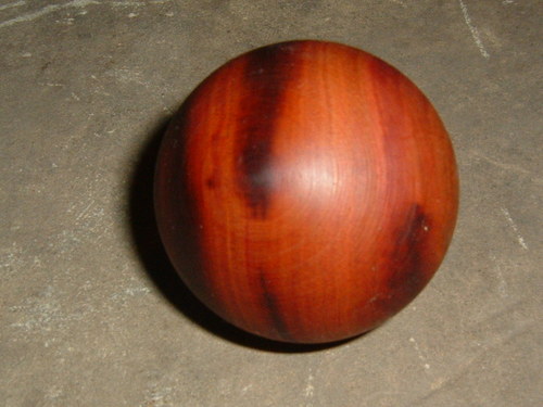 Menší duhová — foto 2