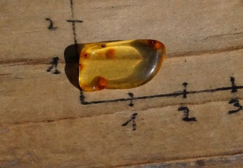 Pravý jantar B8888 — foto 2