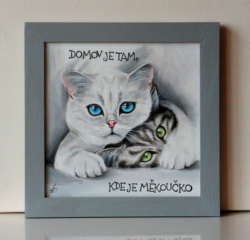 Koťátka — foto 2