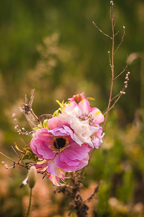 Anemonky BY Hogo Fogo — foto 2