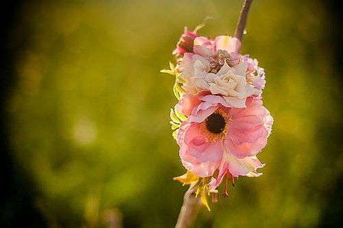 Anemonky BY Hogo Fogo — foto 3