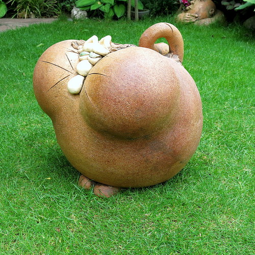 Óbr Micin — foto 2