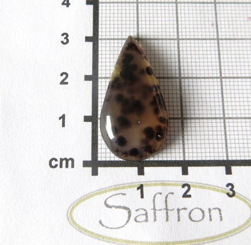 Dendritický chalcedon Brazílie č.1 — foto 3