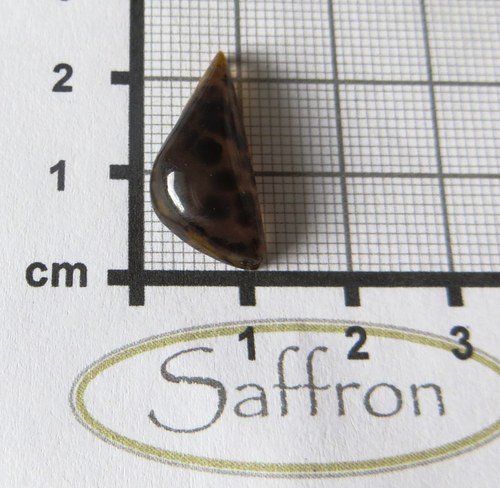 Dendritický chalcedon Brazílie č.4 — foto 3