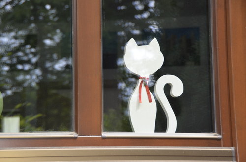 Kočička bílá — foto 2
