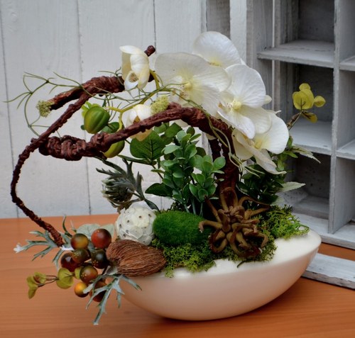 Orchidea aranžovaná v keramické nádobě — foto 2
